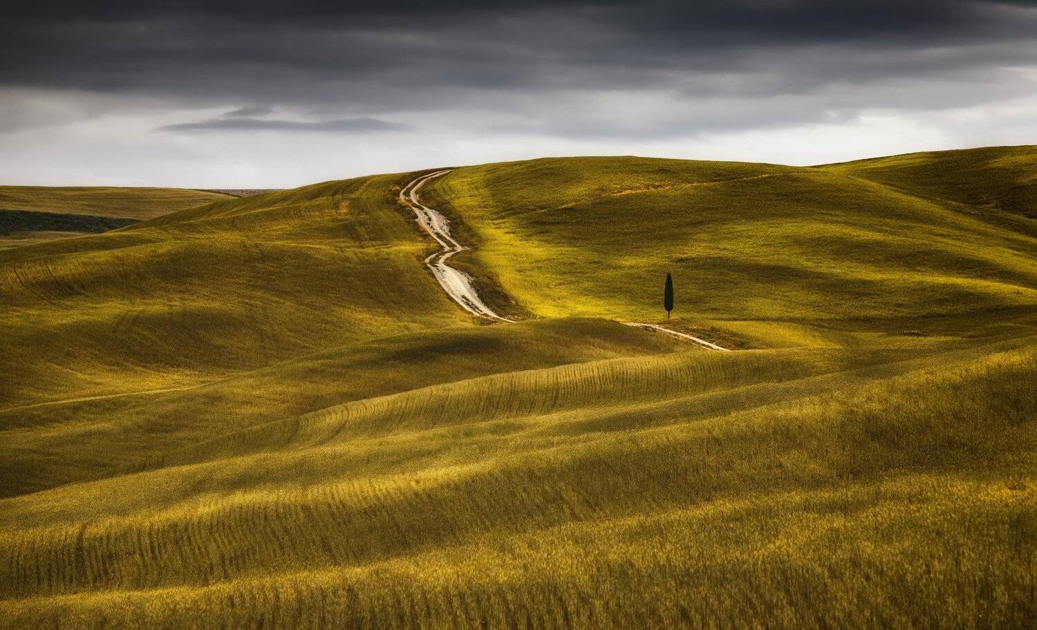 холмы, дерево, трава, Александр Безмолитвенный