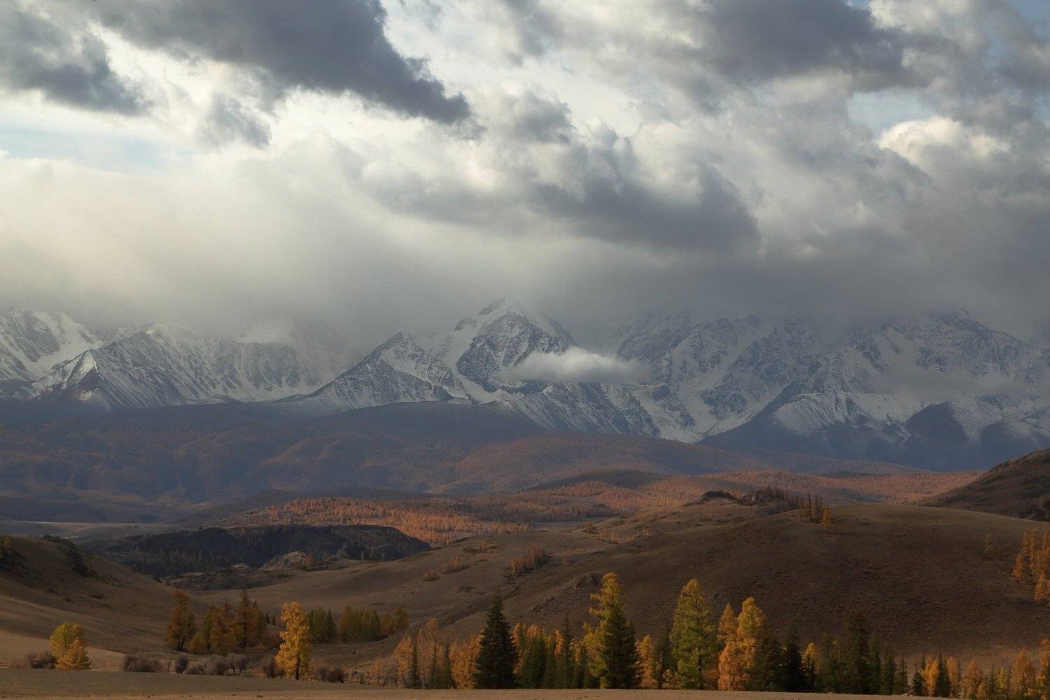 , Евгений Зинов