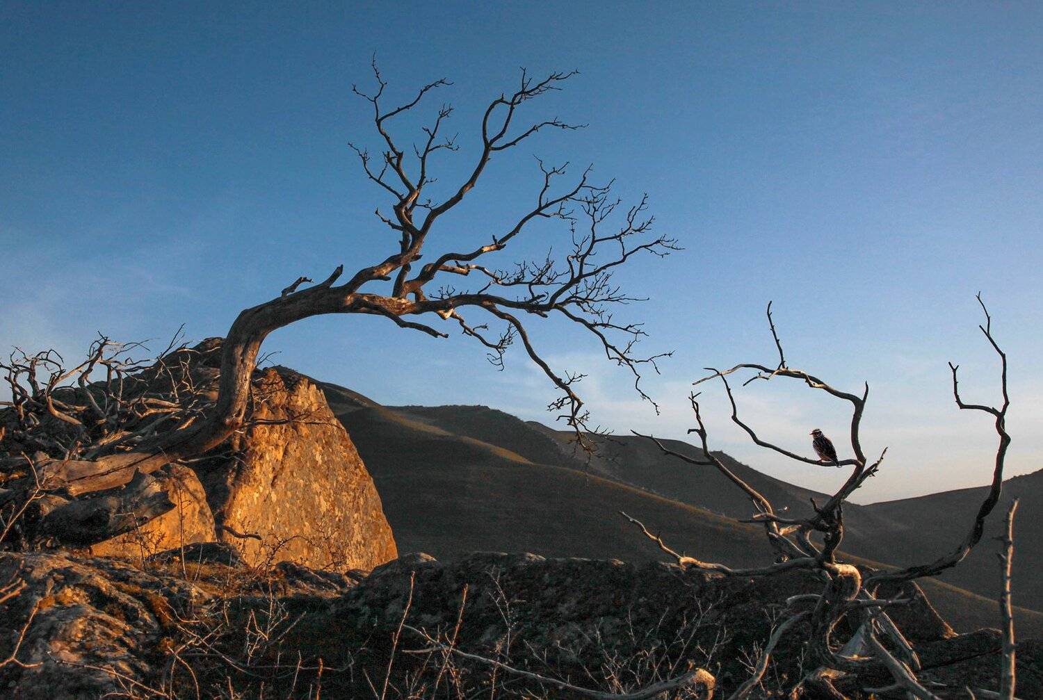 горы,вершины,пейзаж,небо,деревья,дагестан,природа, Marat Magov