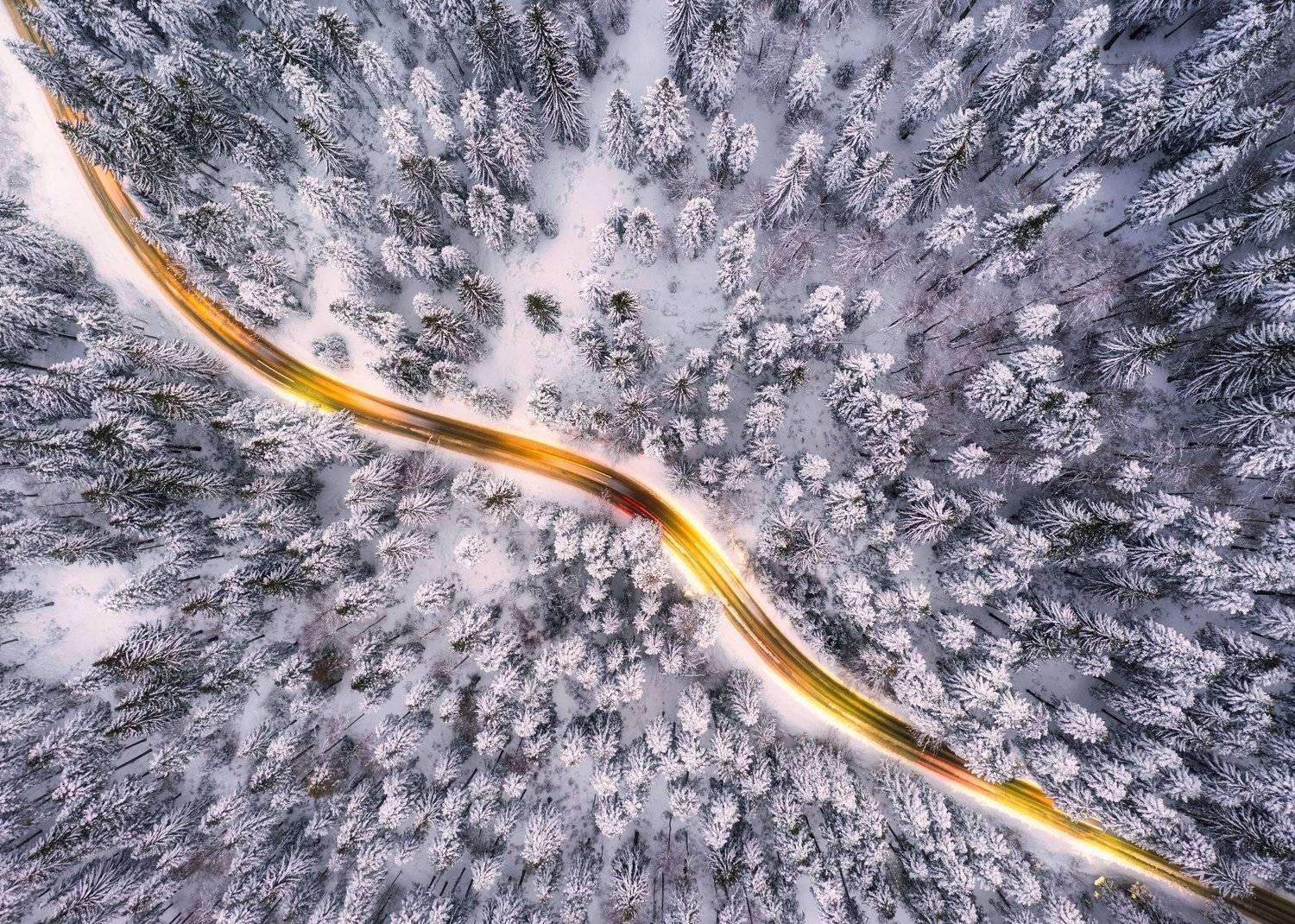 , Radoslav Sviretsov