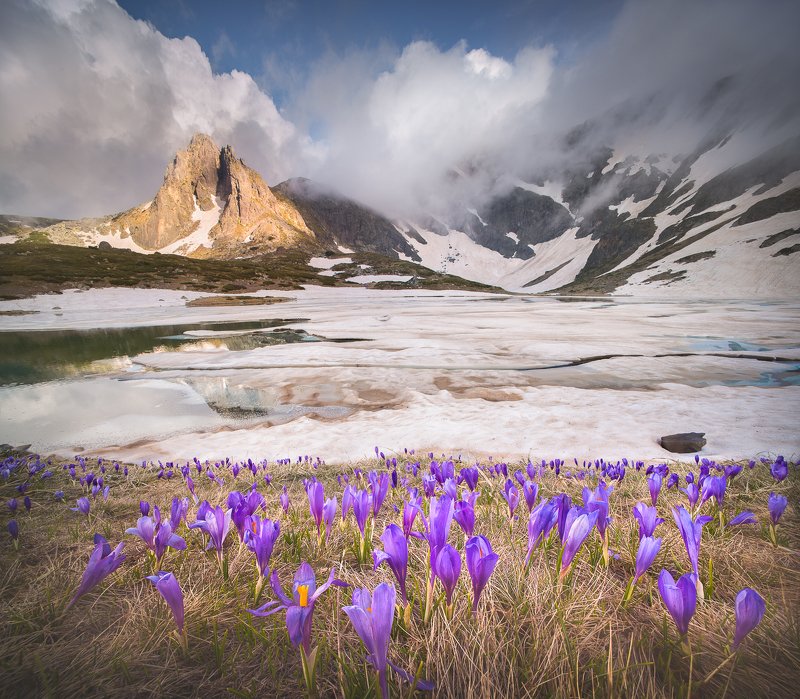 Between winter and spring фото превью