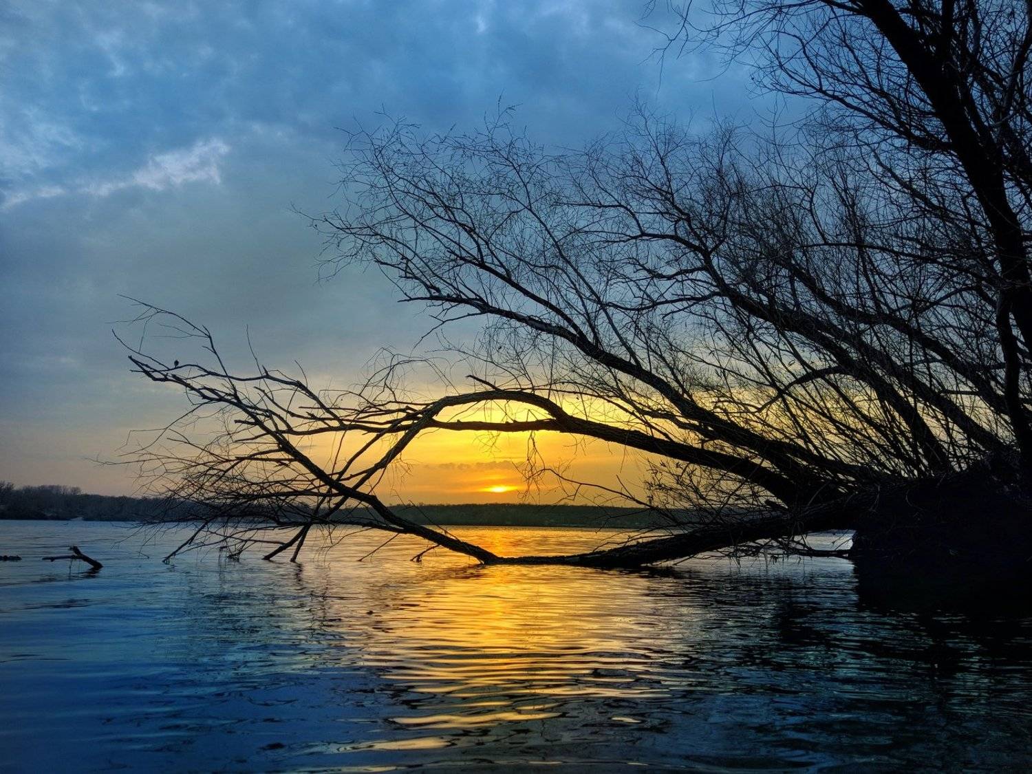 пейзаж,закат,краски,небо,landscape,sky,sunset,река,отражение,вода,дерево,вечер,хортица,релакс, Сергей Богачёв