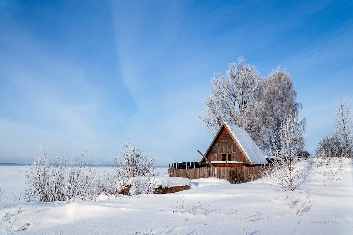 ###, Татьяна Афиногенова