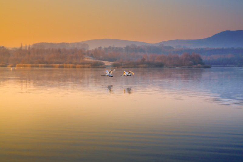 Naturpark Zittauer Gebirge фото превью