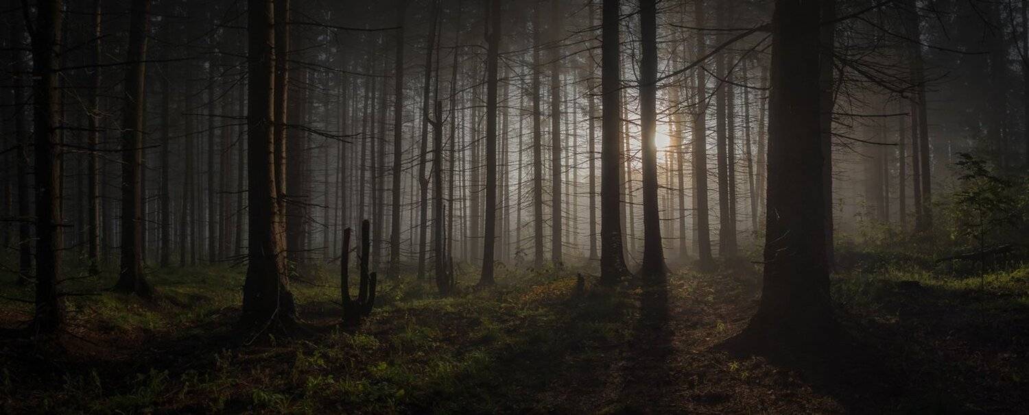 , Баранов Олег