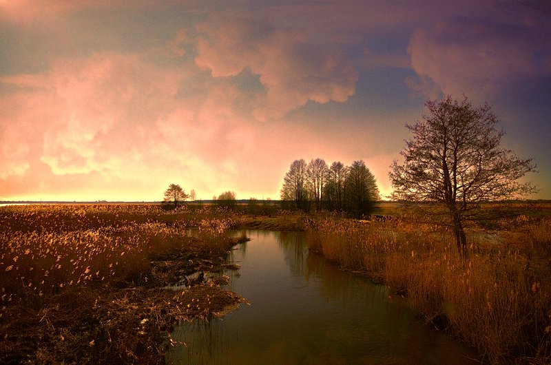 *** фото превью