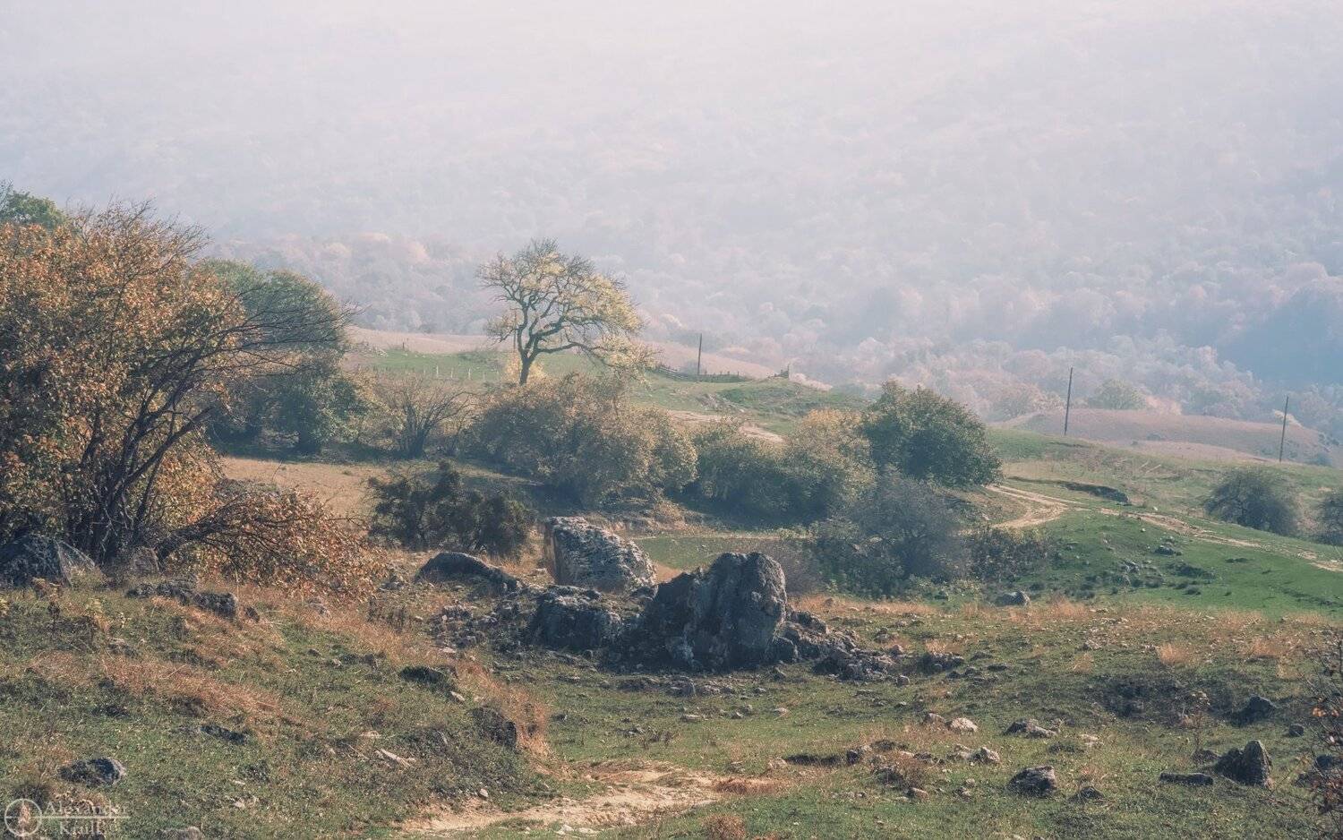 , Александр Круль