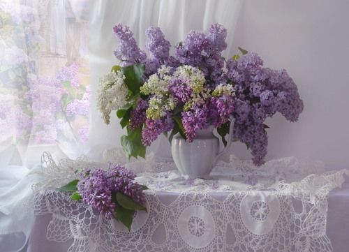 Сиреневые сны...