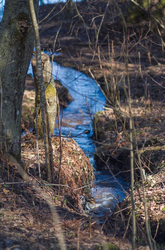 And Spring herself when she woke at dawn... фото превью