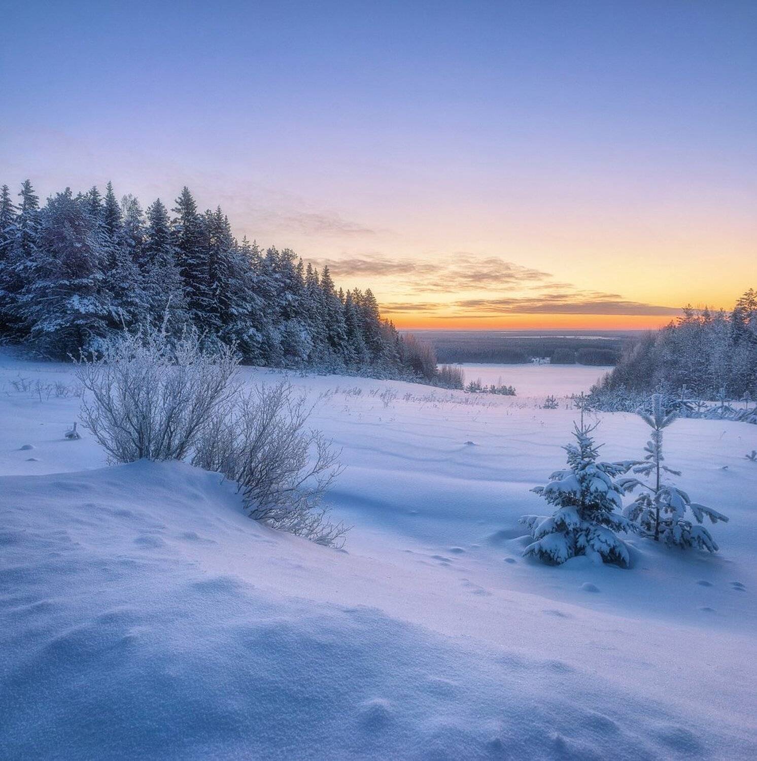 , Устюжанин Михаил