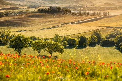 Morning in Tuscany