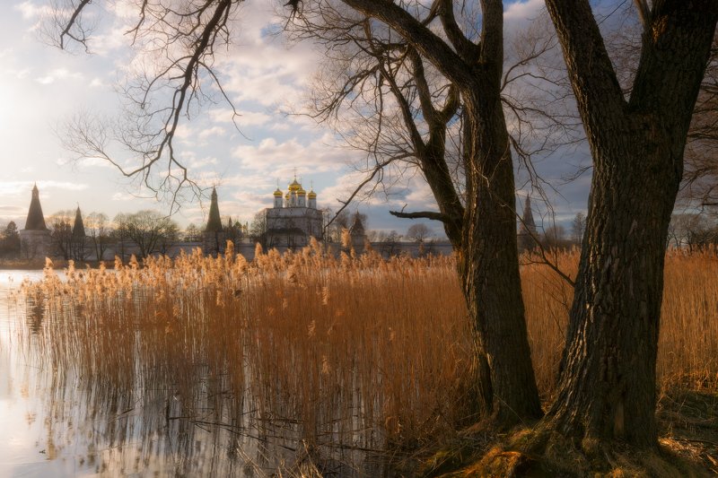 #весна #облака #деревья #озеро #разлив #ветер #небо И ветер рисовал сюжет фото превью