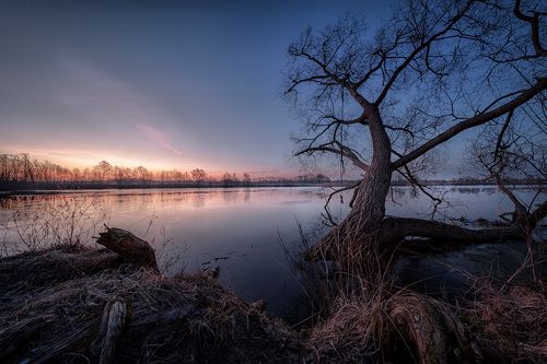 Вода поднялась