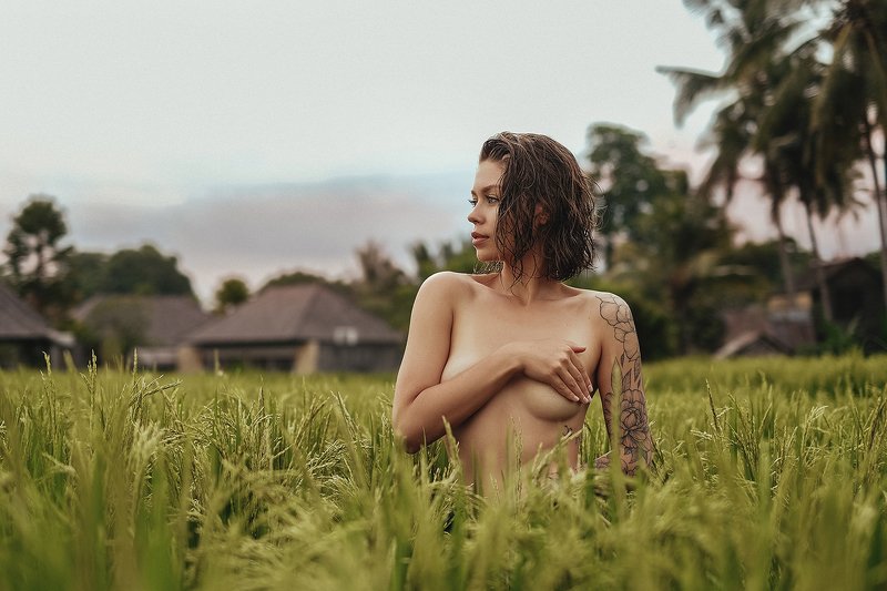 поле, луг, девушка, летний дождь, мокрые волосы, рисовое поле, закат, рассвет, загорелая кожа, татуировка, nu, nude, ню, nature, модель, model Катя фото превью