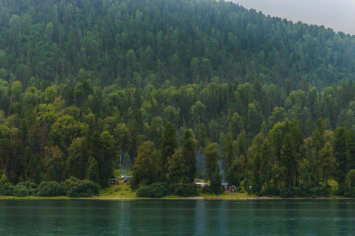 , Наиля Гарифуллина