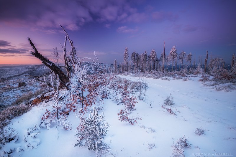 poland, polish, landscape, sunrise, sunset, colours, winter, awesome, amazing, adventure, travel, beautiful, morning, snow, frozen, light, mountains Just before sunrise фото превью