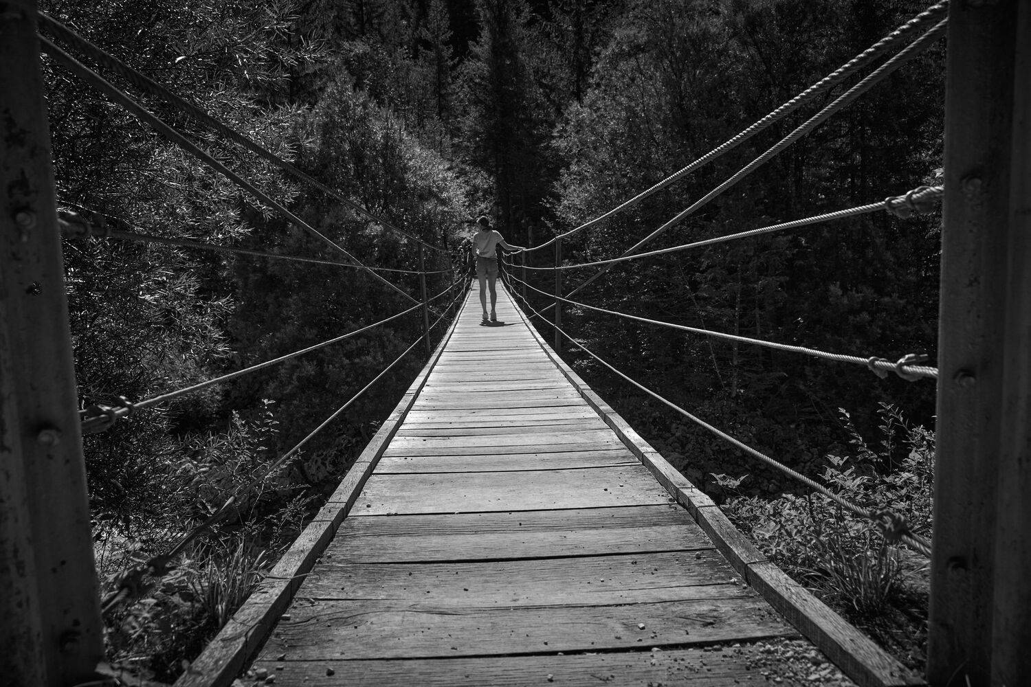 , David Solodar