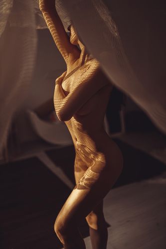 Виви