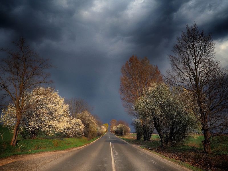 On the road... фото превью