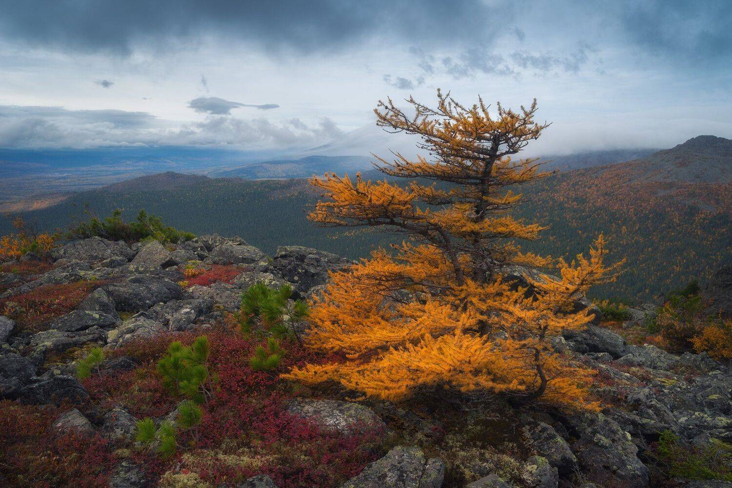 , Михаил Туркеев