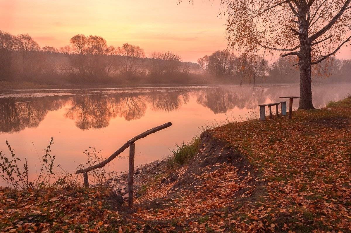 пейзаж,осень,утро,золотая осень,россия, Юлия Лаптева
