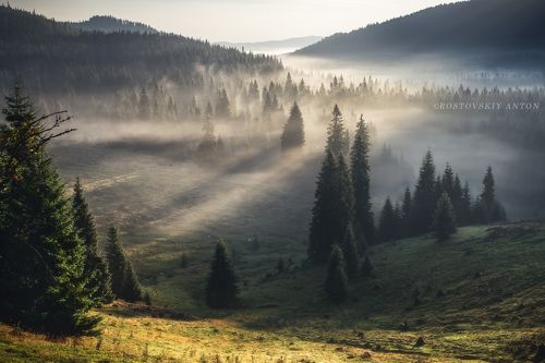 Утро в Карпатах, Румыния | фототур