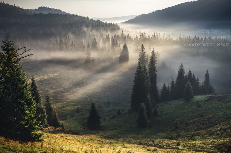 Утро в Карпатах, Румыния | фототур