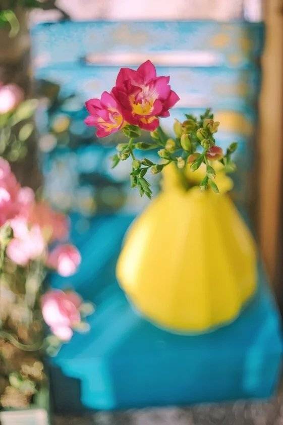 Цветы, свет, цвет, синий, желтый, розовый, Анастасия Зубкова