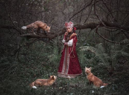 Царевна и её 3 хитрых лиса