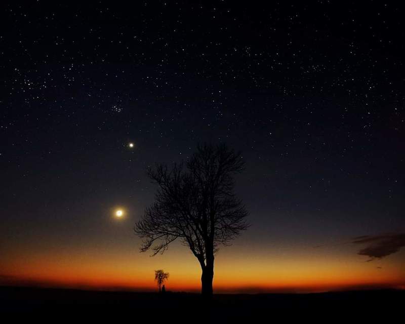 Night, sky, tree, moon, Venus, stars  * фото превью