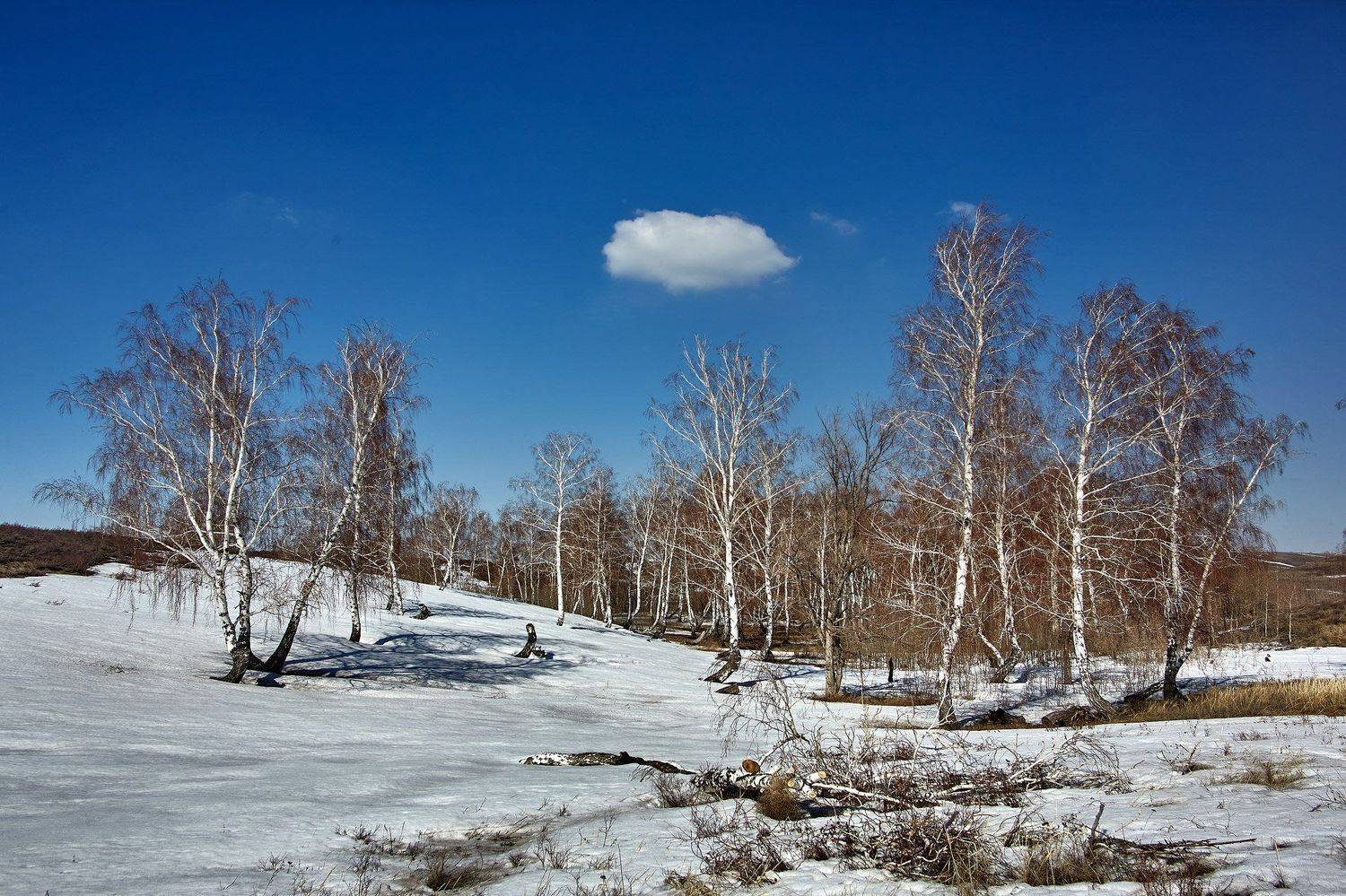 южный урал,оренбургская область, орск, новотроицк,, Качурин Алексей