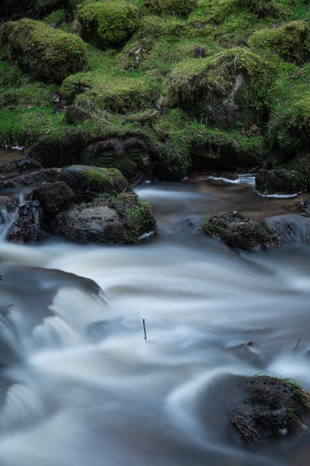 , Дмитрий Рябцев