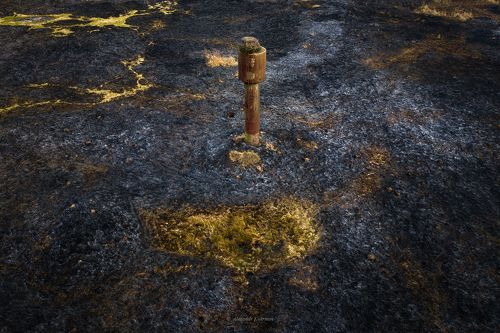 Ожидание весны...