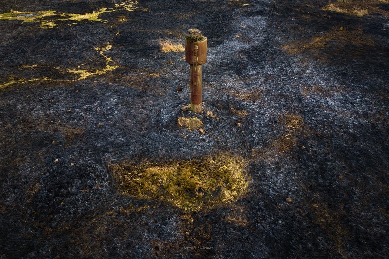 весна,пал,аист, Ожидание весны... фото превью