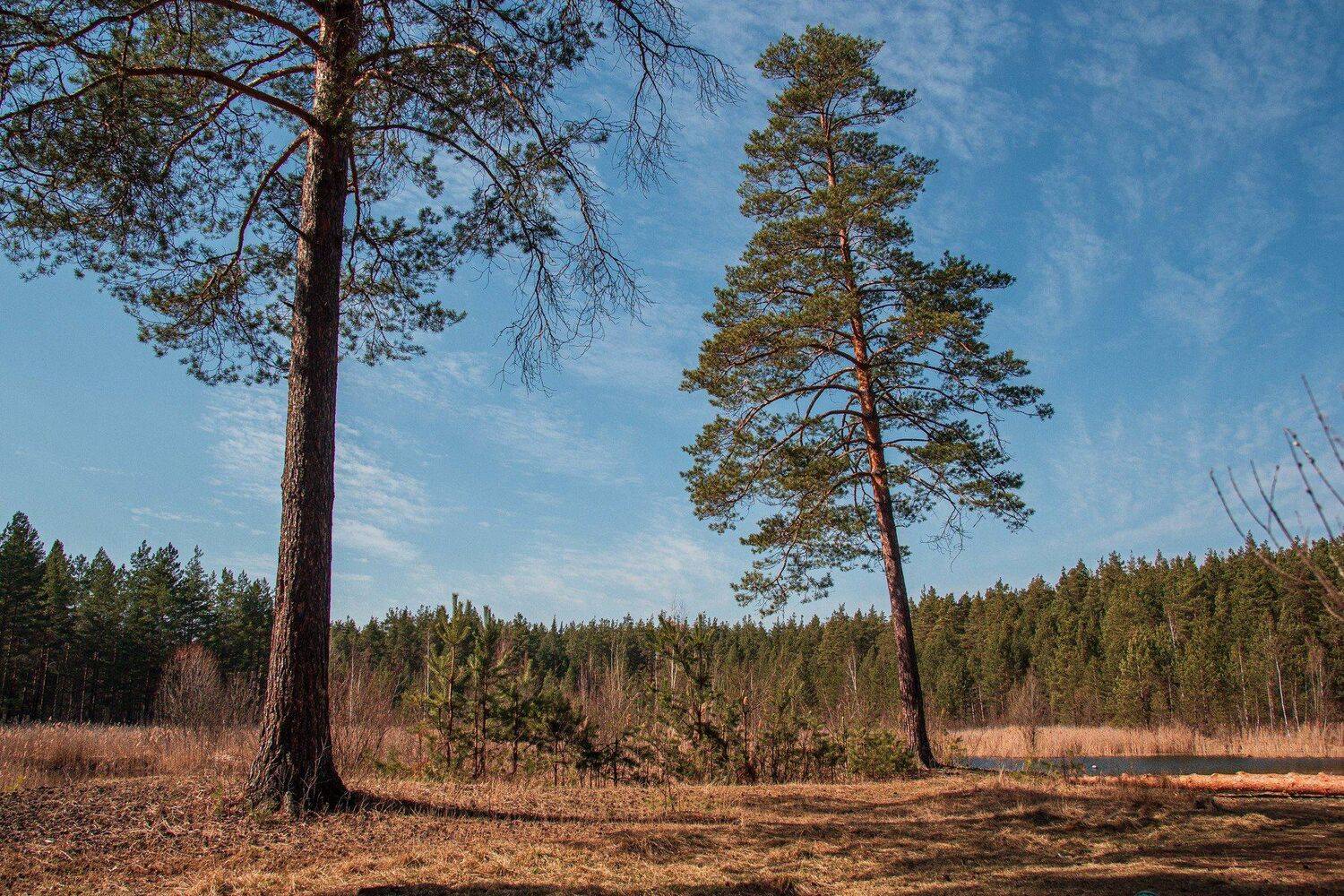 пейзаж, кулебаки, landscape, весна, spring, природа, nature, Владимир Васильев