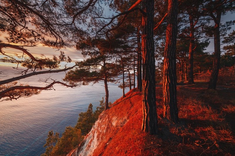 Геленджик  Огненно красный фото превью