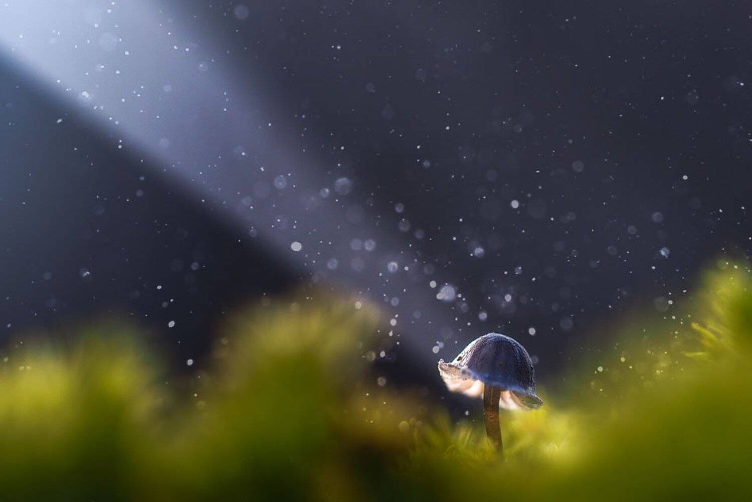 , Евгений Лукашук