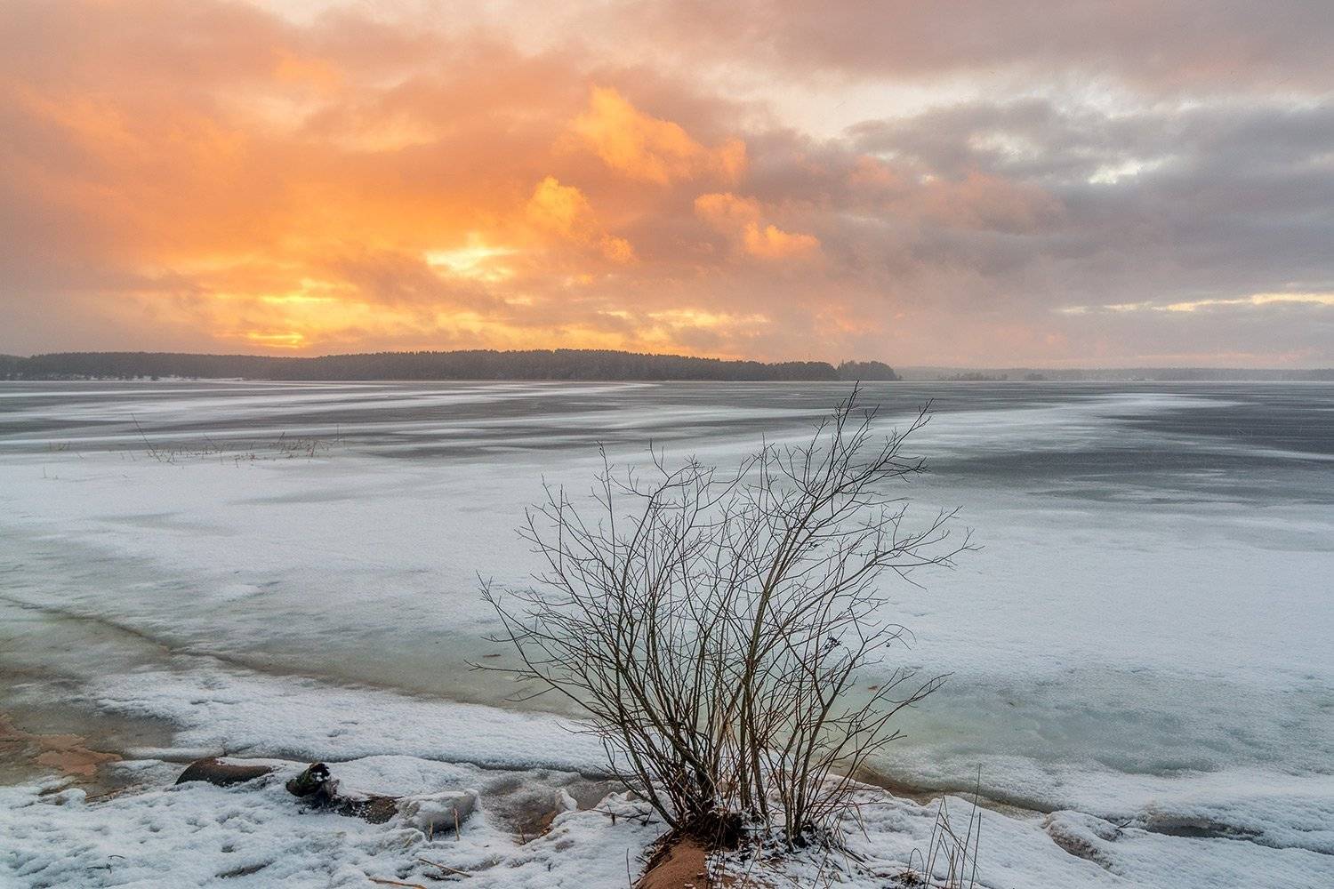 , Федотов Антон