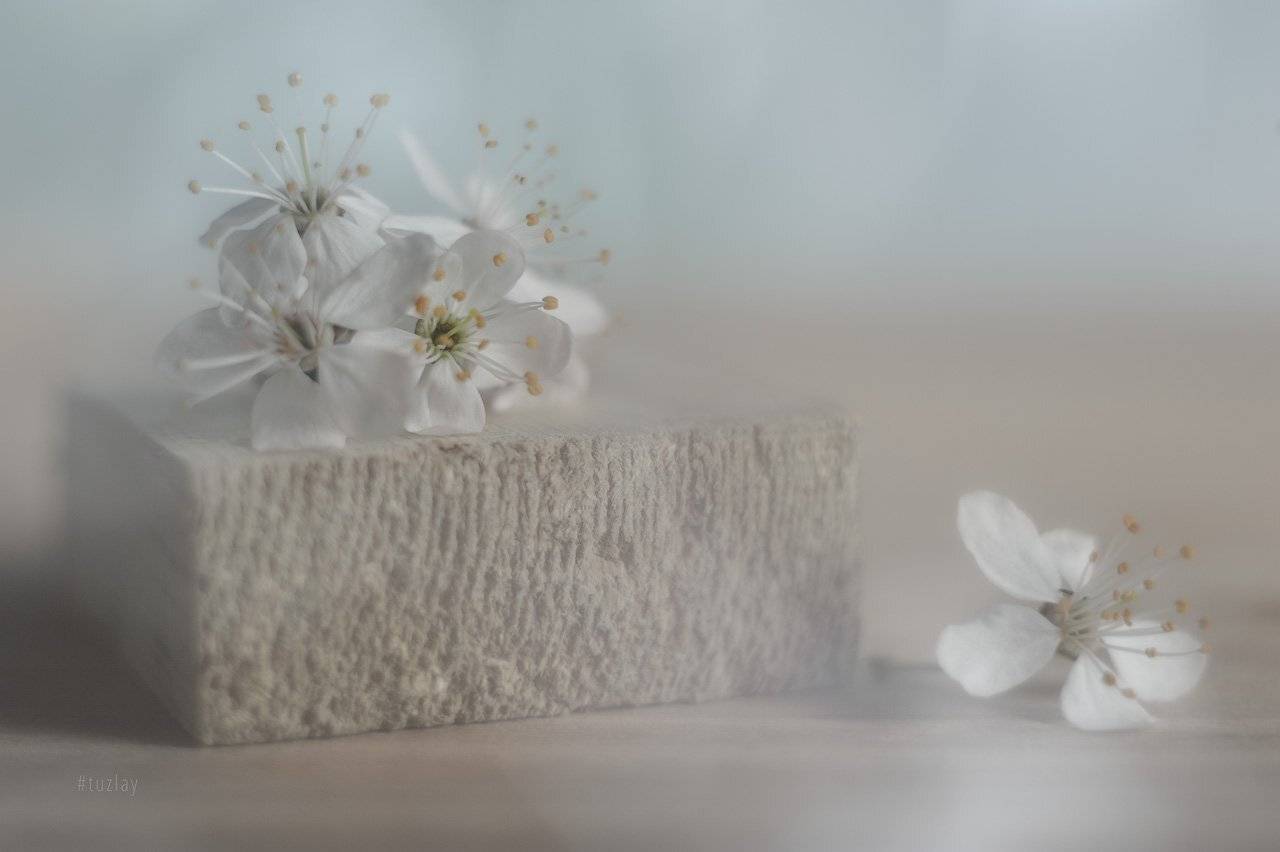 , Владимир Тузлай