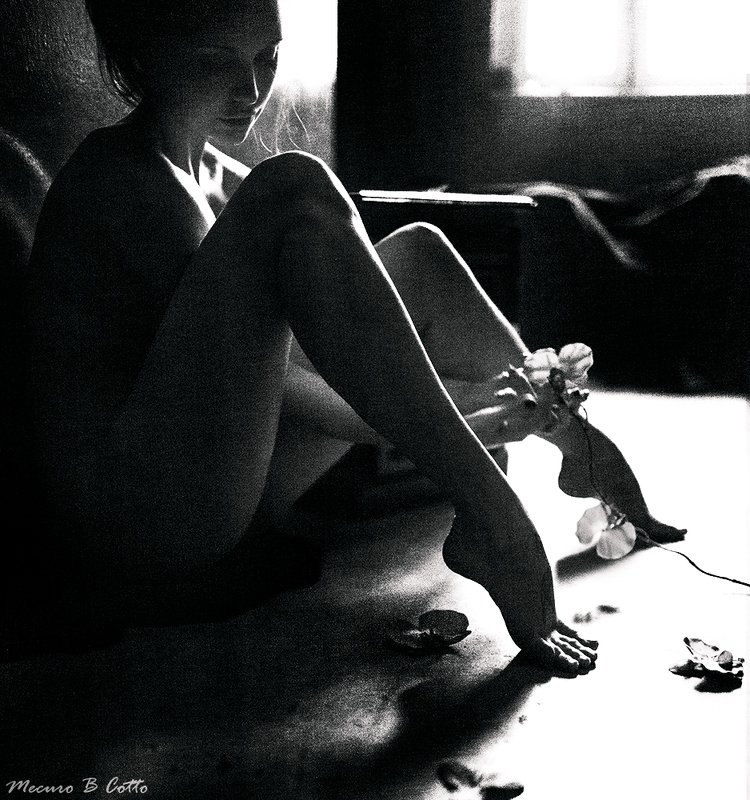 mecuro mecurobcotto mecuro b cotto *** фото превью