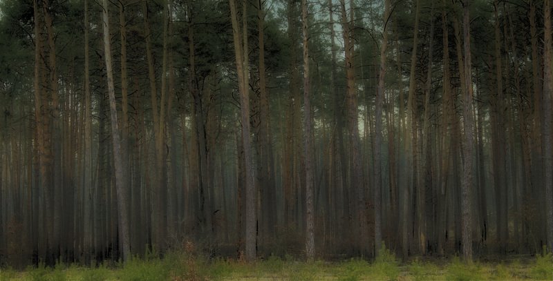 ** фото превью