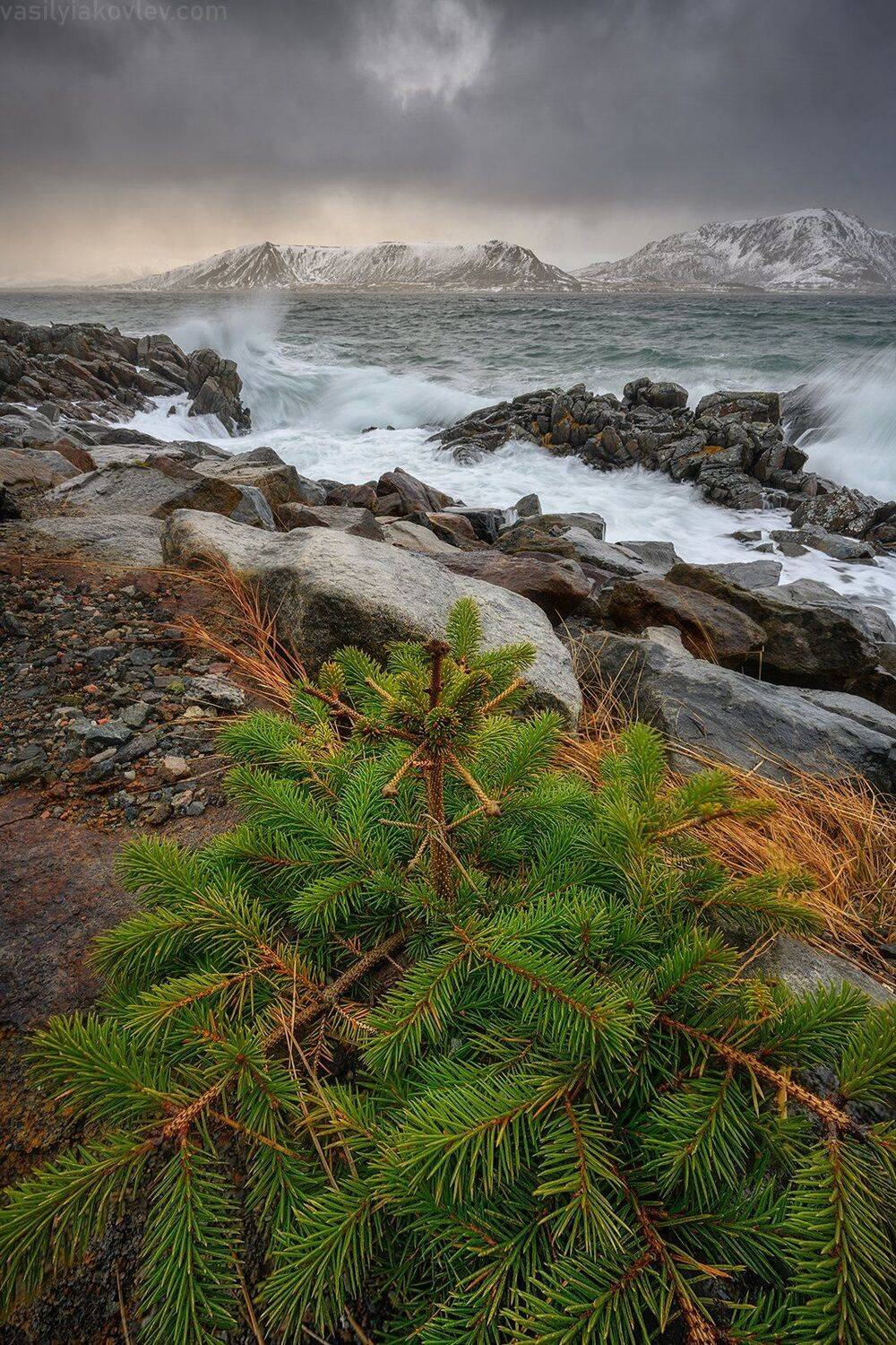 лофотены, фототур, норвегия, яковлевфототур, василийяковлев,, Василий Яковлев