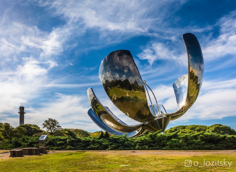 Large metal flower in Buenos Aires фото превью