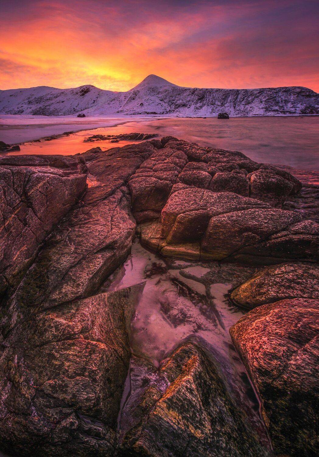 , Елена Ермолина