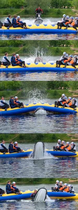 yacht club,party,river club Yacht Club Party фото превью