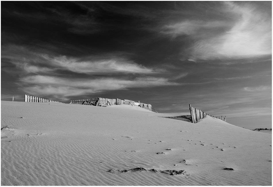 , Павел Дунюшкин