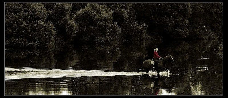 вода, лошадь, тишина Рассекая тишину... фото превью