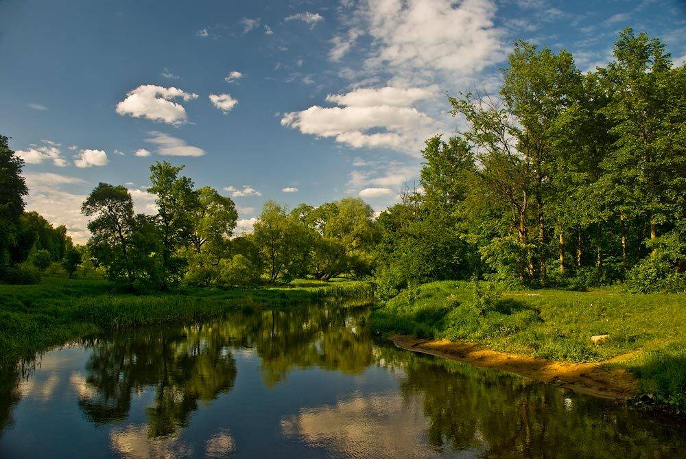 , Дмитрий Милосердов