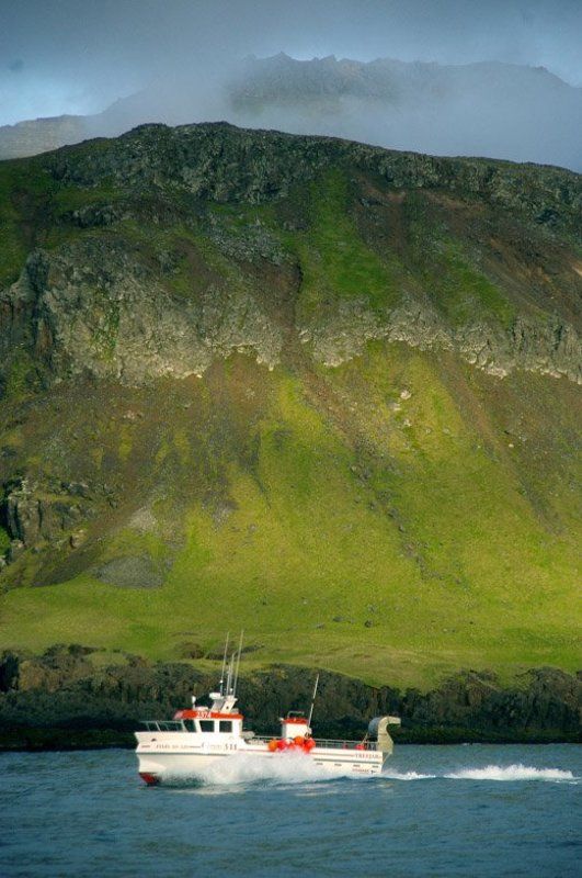 исландия, горы, море, лодка  фото превью