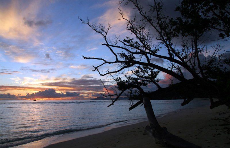 рассвет, океан светало... фото превью